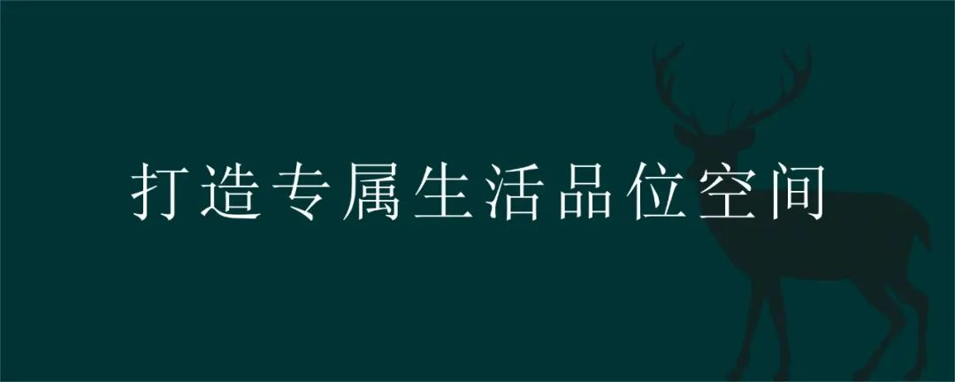 深入了解 鹿可可设计