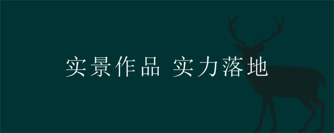 深入了解 鹿可可设计