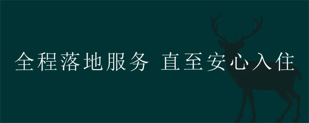 深入了解 鹿可可设计