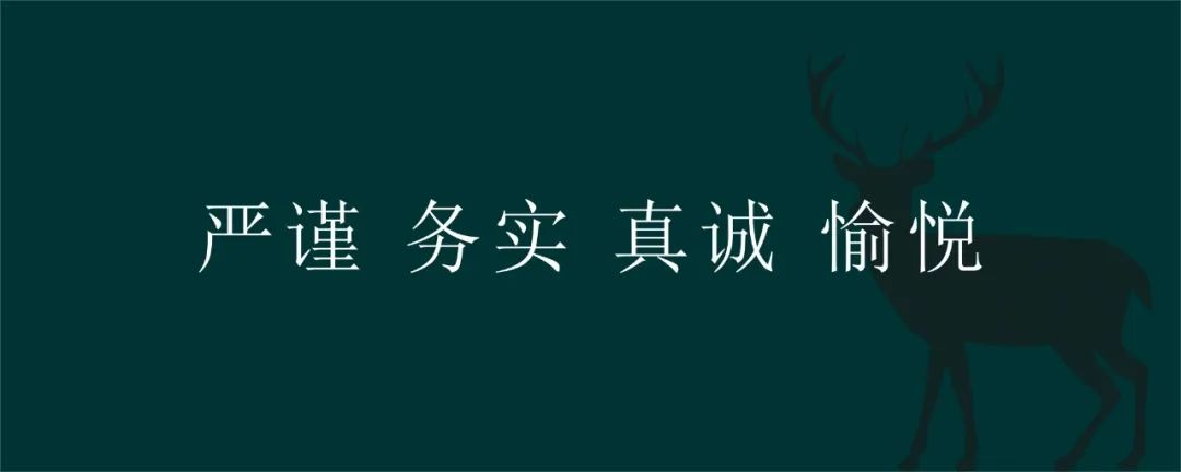 深入了解 鹿可可设计