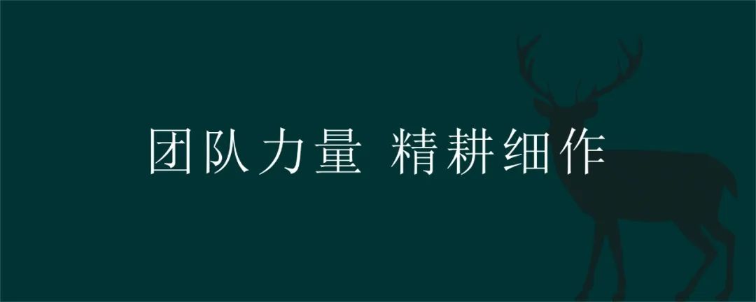 深入了解 鹿可可设计