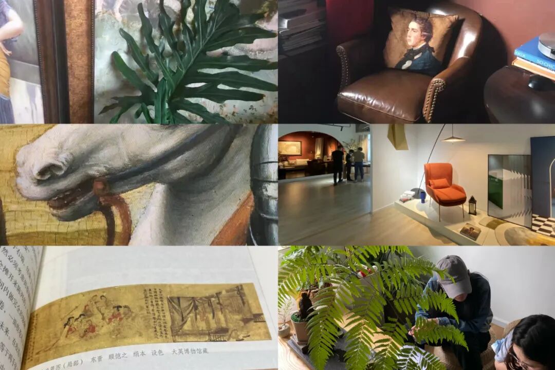 品牌故事:鹿可可 镇“宅”之宝