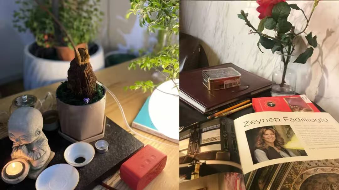 品牌故事:鹿可可 镇“宅”之宝