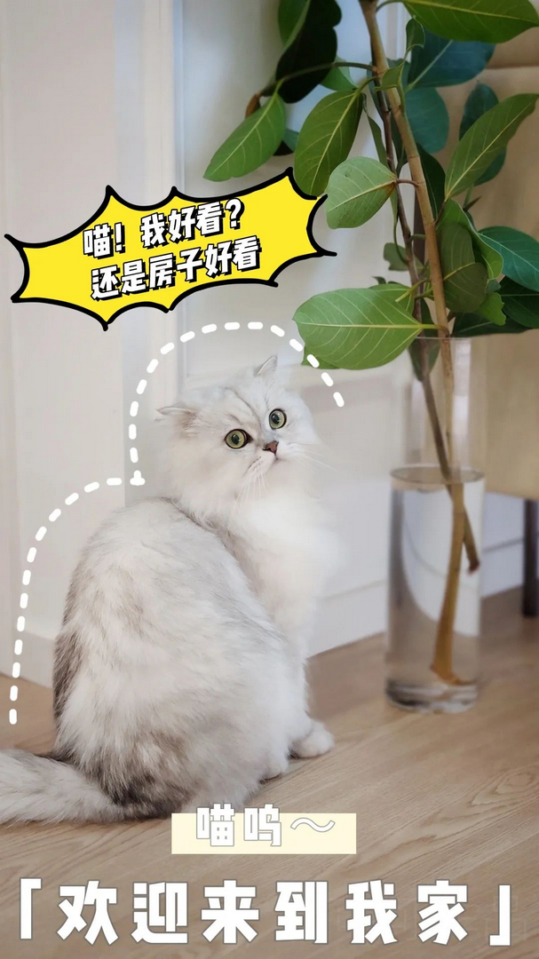 《浅秋》主卧改成客厅，奇葩户型变成宝！