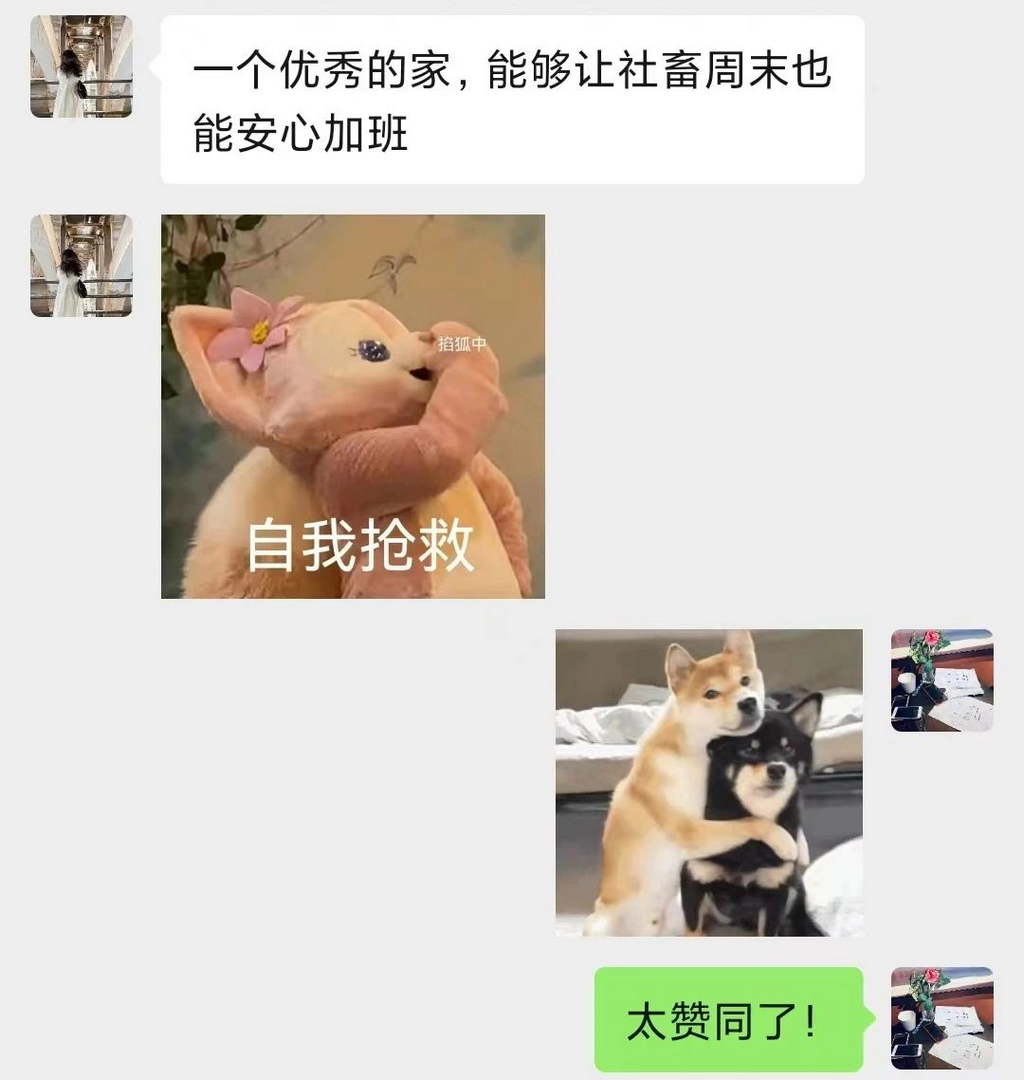 《浅秋》主卧改成客厅，奇葩户型变成宝！